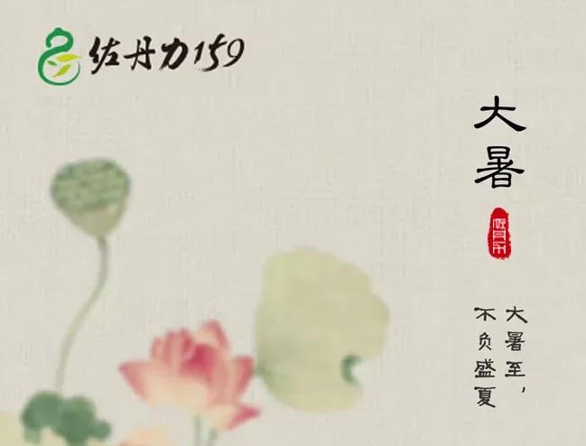 大暑 | 佐丹力159，“中国粥，家之味”