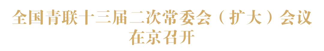 韩丹参加全国青联十三届二次常委会并荣获全国青联委员2020—2021年度履职优秀委员