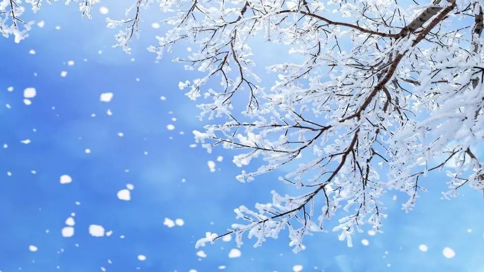 小雪 | 佐丹力159,“中国粥,家之味”