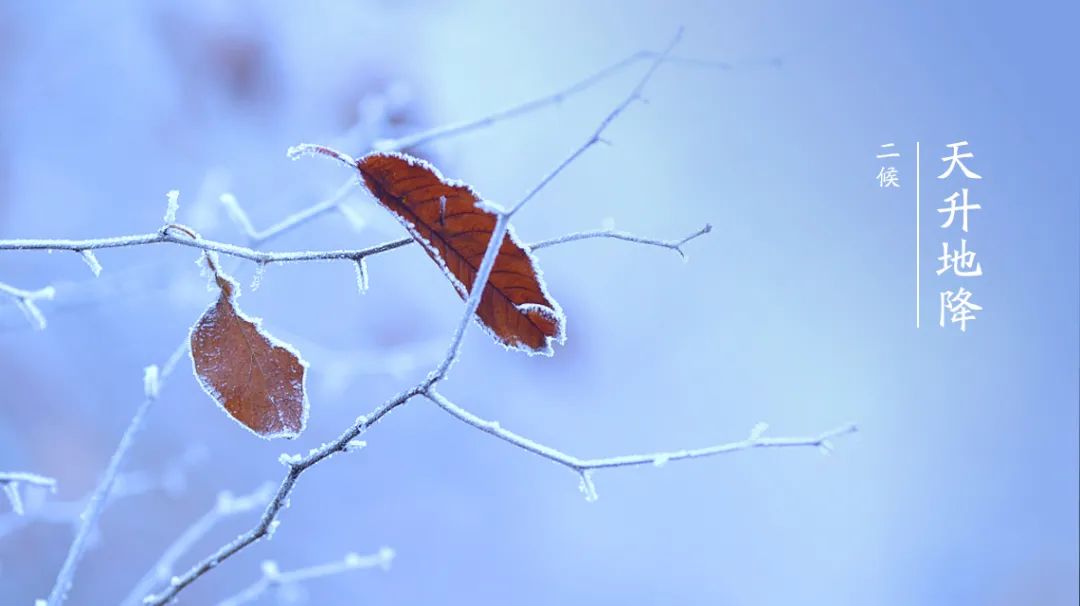 小雪 | 佐丹力159,“中国粥,家之味”