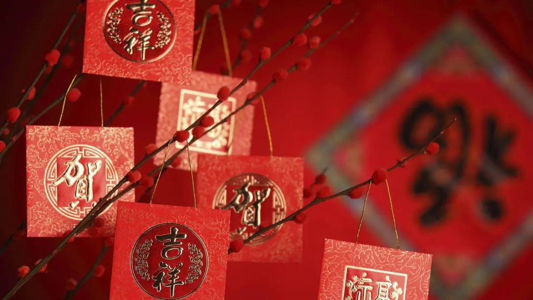 立春 | 佐丹力159,“中国粥,家之味”
