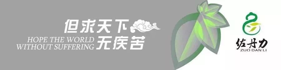 重阳 | 佐丹力159,“中国粥,家之味”