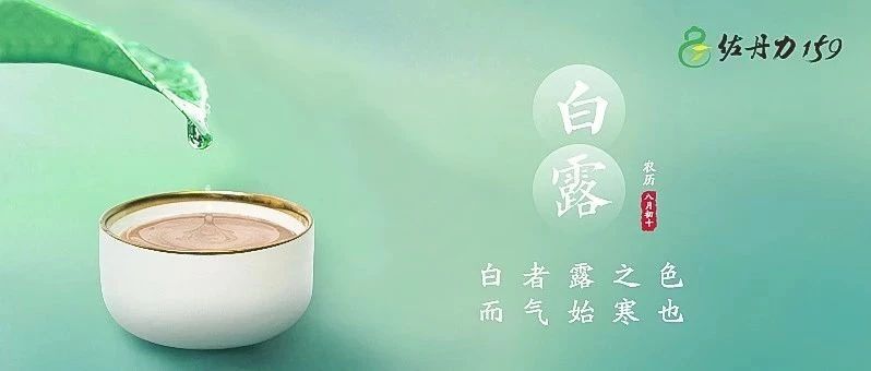 白露 | 佐丹力159 “中国粥，家之味”