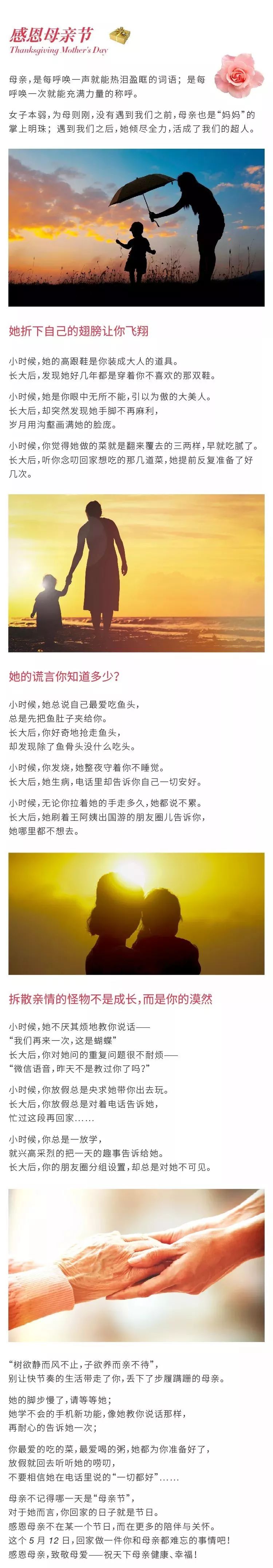 感恩母亲节