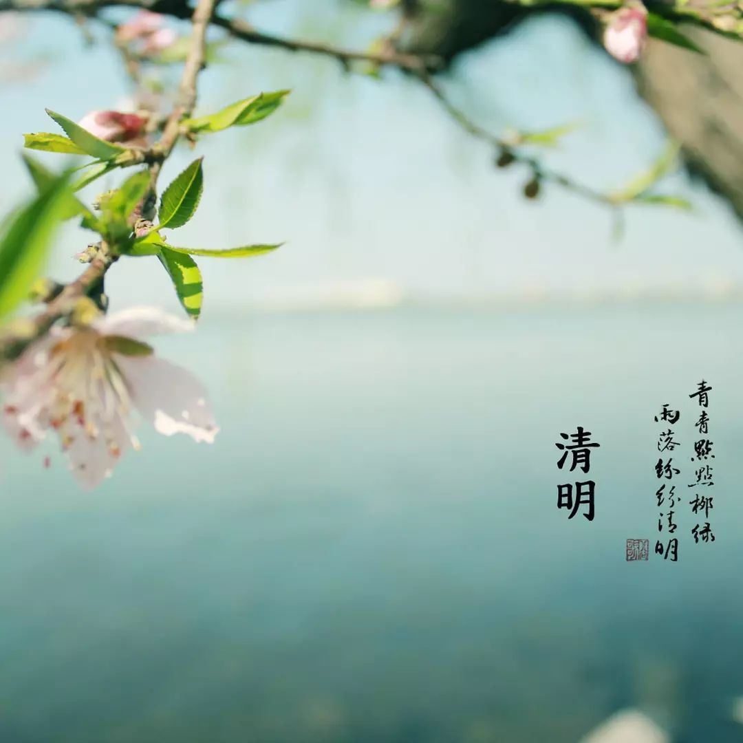 【清明】感恩是最好的追思