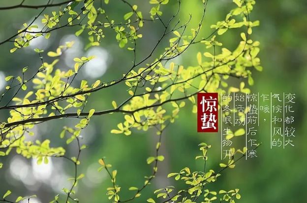 【惊蛰】远离"春困",养生当此时