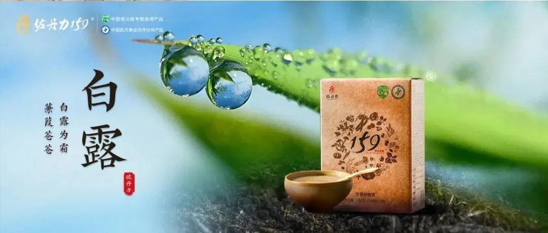 白露 | 佐丹力159， “中国粥，家之味”