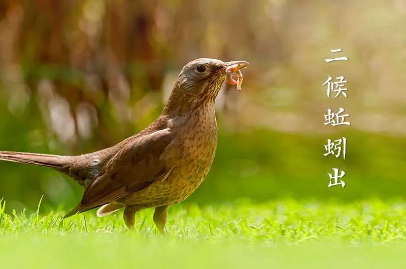 立夏|多吃杂粮好,佐丹力真好!