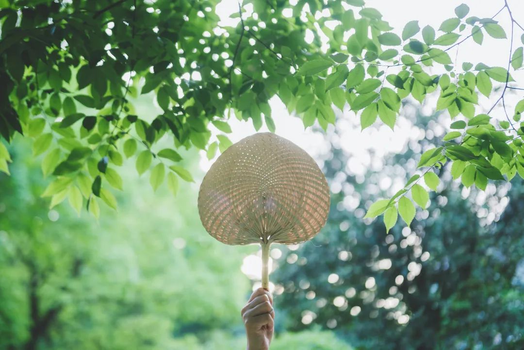 立夏|多吃杂粮好,佐丹力真好!