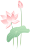 夏至|多吃杂粮好,佐丹力真好!