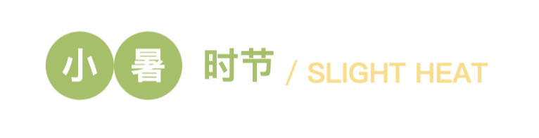 小暑|多吃杂粮好,佐丹力真好!