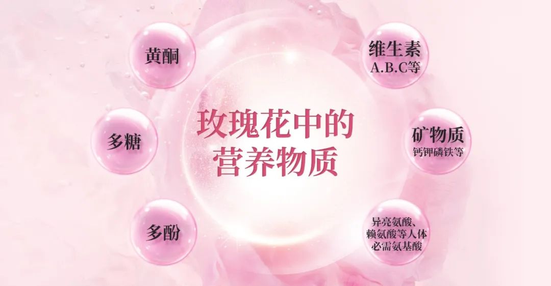 用一朵花开的时间,带你了解盛开在“世界玫瑰的东方起点”的平阴重瓣玫瑰