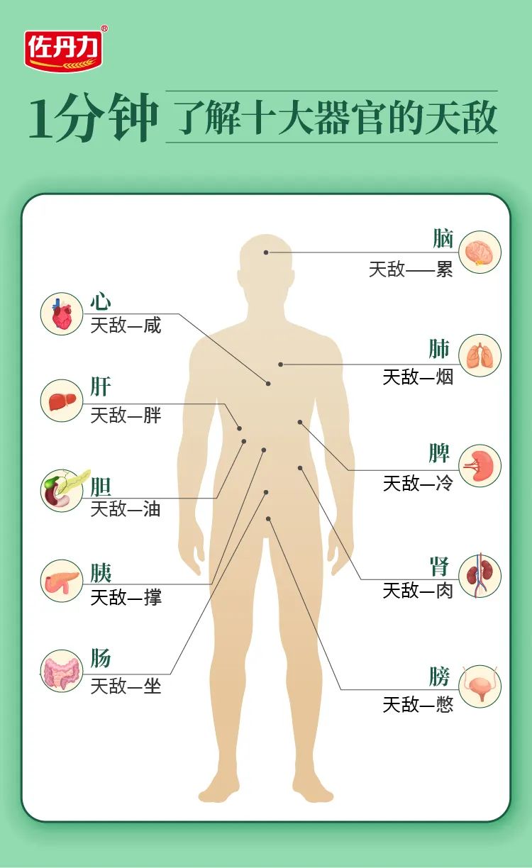 1分钟了解十大器官的天敌！