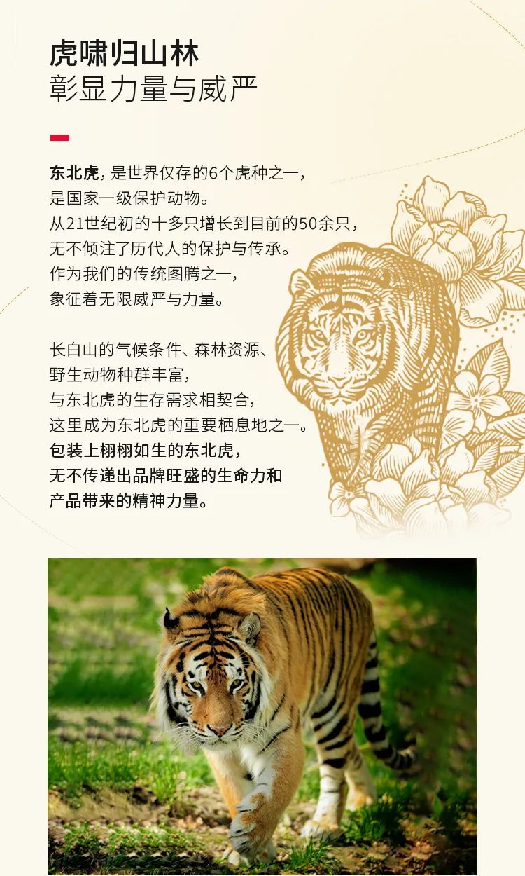带你走进西洋参软蜜片的包装世界——长白山自然生态与健康能量的完美融合